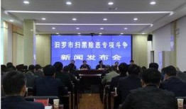 汨罗最新爆料事件新闻发布会,新闻发布会聚焦真相与舆论风暴